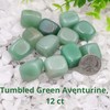 NatureWonders Tumbled Green Aventurine 12 Healing Stones Crystal Natural Color
