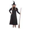 Bristol Novelty AF131XL Witch Wickedest Witch Costume, Size XL, Women,