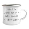 Security Guard Christmas Camping Mug I Can't Fix Stupid But