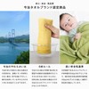 Bloom Imabari Towel Leon Face Towel Set of 3 San