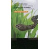 INNOVATION NEW INNOVATION 16" IR REMOTE CONTROL SNAKE TOY USB