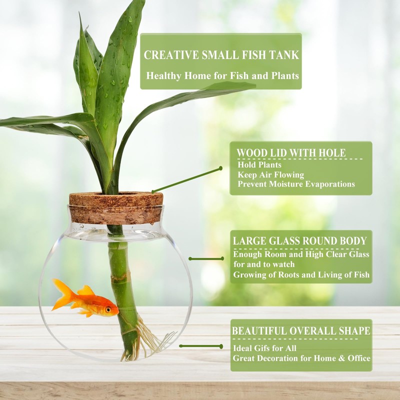 Small Betta Fish Tank Glass Fish Bowls for Betta Fish