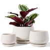 LE TAUCI Plant Pots, 4.1+5.1+6.5 inch, Set of 3, Ceramic