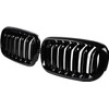 Double Bridge Glossy Black Front Kidney Grill Grilles for F15
