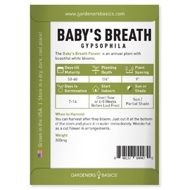 Gardeners Basics, Baby's Breath Seeds for Planting Gpsophila - Beautiful Annual Cut Flower for Flower Arrangements and Beautiful in Flower Beds in Summer Gardens Too