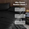 Shilucheng 4-Piece Queen Size Sheets Set，Blend of Rayon Derived from