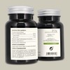 Organic Shikake (LeNTINULA EDODES) * 3 + 1 free *