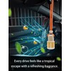 IKEDA Car Air Freshener, Multi- Scent, Hanging Bottle Design with