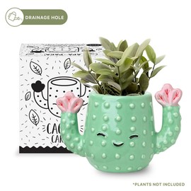 Apa la Papa, Funny Cactus Ceramic Planter, 5 x 3 x 3 in., Exclusive Ceramic Planters for Indoor and Outdoors, Cute Hand Painted Designed in Argentina, Convenient Drain Hole (Green)