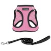 Voyager Step-in Air All Weather Mesh Harness and Reflective Dog