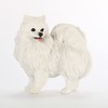 Conversation Concepts American Eskimo Dog Figurine