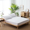 Charms Trend Waterproof Mattress Protector Double 100% Cotton Terry Towel