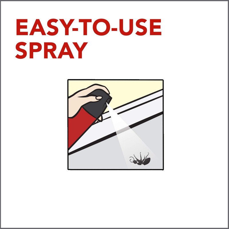 Raid Ant & Roach Killer Spray For Listed Bugs, Keeps