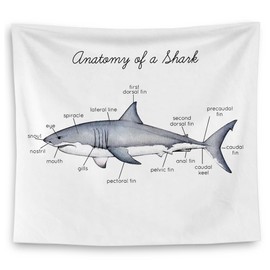 QGFM Shark Tapestry, Shark Wall Decor, Anatomy of a Educational Tapestry Wall Hanging for Classroom Kids Room Bedroom Playroom Decor, Marine Biology Decors, Ocean Classroom Decor, 50x60 Inches