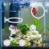 2 - Piece Betta Fish Exercise Ring & Filter Balls
