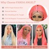 PANDA ANGEL Pink Lace Front Wigs Human Hair 13x4 Straight
