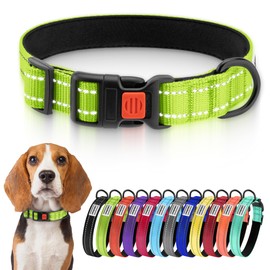 CollarDirect Reflective Dog Collar for Small Medium Large Dog Puppy with Quick Release Male 48 Varieties Nylon Waterproof