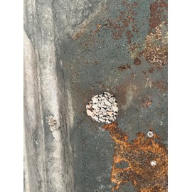 EWS PRODUCTS Wheelie Bin Drainage Hole Cover, Prevents Rats Entering Bins Through Drainage Hole, Stainless Steel