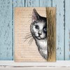 Cat Background Clear Stamps for Card Making, Peeking Cat Animal