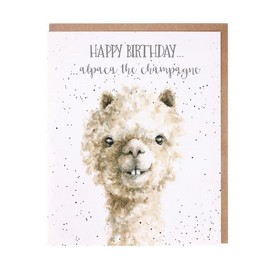 Wrendale Designs Alpaca The Champagne Birthday Card