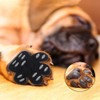 16pcs/set Dog Paw Protection Pads Anti Slip Pet Paw Protector