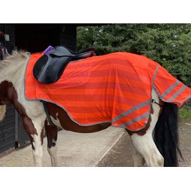 Equipride REFLEX HIND EXERCISE SHEET HI VIZ QUARTER SHEET SADDLE GAP FULL/COB/PONY NEON ORANGE (Cob)