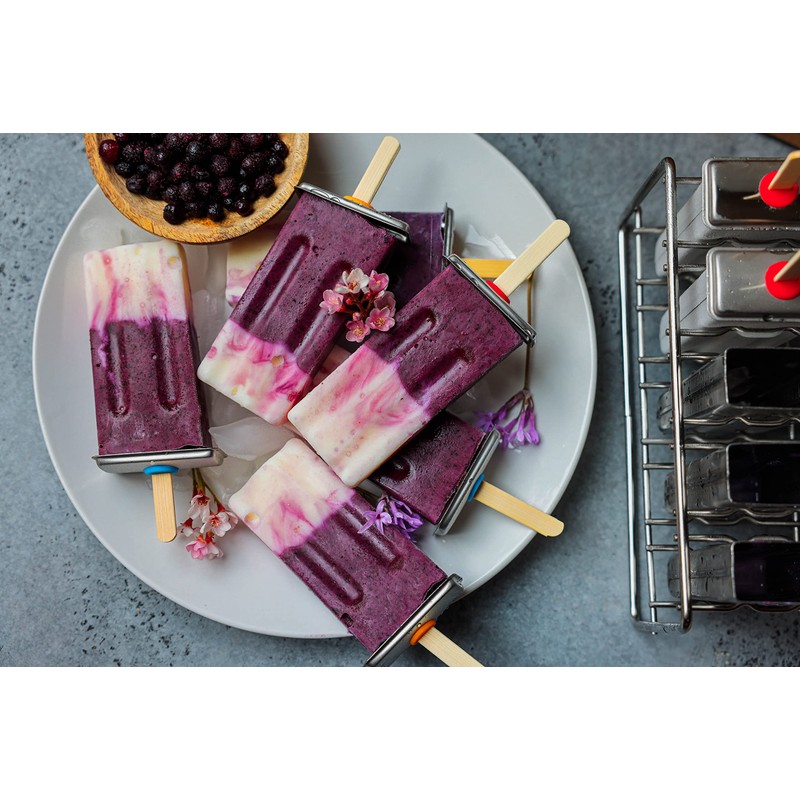 Ecozoi Stainless Steel Popsicle Molds and Rack - 6 Square