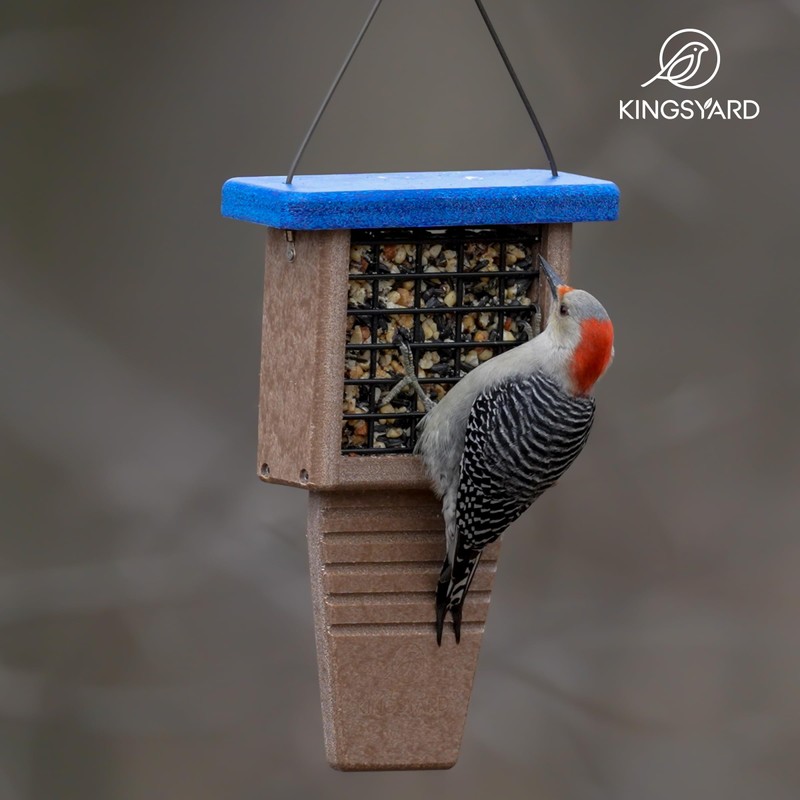 Kingsyard Recycled Plastic Suet Bird Feeder, Tail Prop Suet Feeder