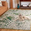 SAFAVIEH Monaco Collection Area Rug - 5'1" x 7'6", Green
