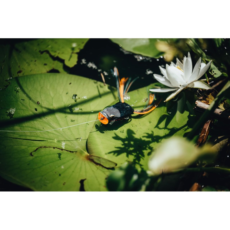 Swamp Lord Pop Hollow Body Frog-Chart Perch-2/3 oz-2.4in