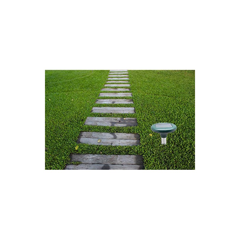 Sonic Guard Solar Snake Repeller