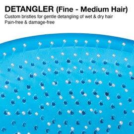 Olivia Garden OG Brush Collection, removable cushion, scalp hugging massages the scalp, 1 fine to medium and 1 medium to thick detangler, 1 smooth and shine styler, for wet or dry hair, Blue 3pc box