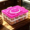 Daixers Ortable Large Capacity Double-layers Egg Storage Container Holds 24