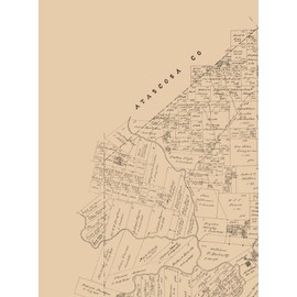 MAPS OF THE PAST Historic County Map - Live Oak County Texas - Walsh 1879-23 x 31.08 - Vintage Wall Art