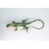 Collectible Wildlife Gifts Realistic Iguana Toy, Hand Painted, Hard Rubber
