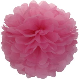 Lightingsky 10pcs DIY Decorative Tissue Paper Pom-poms Flowers Ball Perfect for Party Wedding Home Outdoor Decoration (8-inch Diameter, Dark Pink)