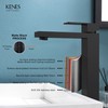 KENES Matte Black Bathroom Faucet Single Handle Tall Vessel Sink