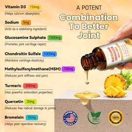 (2 Packs) Glucosamine Chondroitin MSM Support Joint Health - Chondroitin Sulfate Supplement Turmeric, Quercetin, Bromelain, MSM Oil
