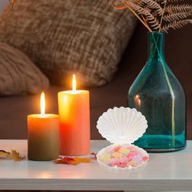 DOITOOL Sea Shells Candy Boxes : 10Pcs Seashell Party Favor Containers Plastic Chocolate Boxes Creative Jewelry Holder Clam Treat Holders for Wedding Birthday Party Decorations (White)