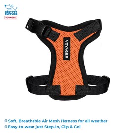 Voyager Step-in Lock Adjustable Cat Harness w. Cat Leash Combo Set with Neoprene Handle 5ft - Supports Small, Medium and Large Breed Cats by Best Pet Supplies - Orange/Black Trim, XXXS