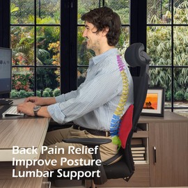 POPIPEN Inflatable Lumbar Support Pillow for Office Chair and Car Seat, Back Support Cushion with Air Pump for Reducing Lower Back Pain