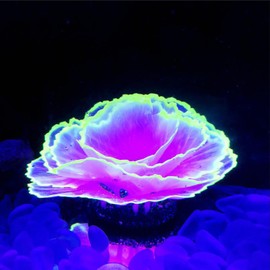 Besimple Aquarium Coral Ornament Glowing Effect Coral Decor Resin Fish Tank Plants Decoration for Aquarium Tank Landscape(Purple)