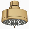 GROHE Tempesta Cosmopolitan 100 4 Spray Shower Head, Brushed Cool