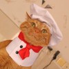 White Pet Hat Chef Appearance Pet Clothing Soft S Dog