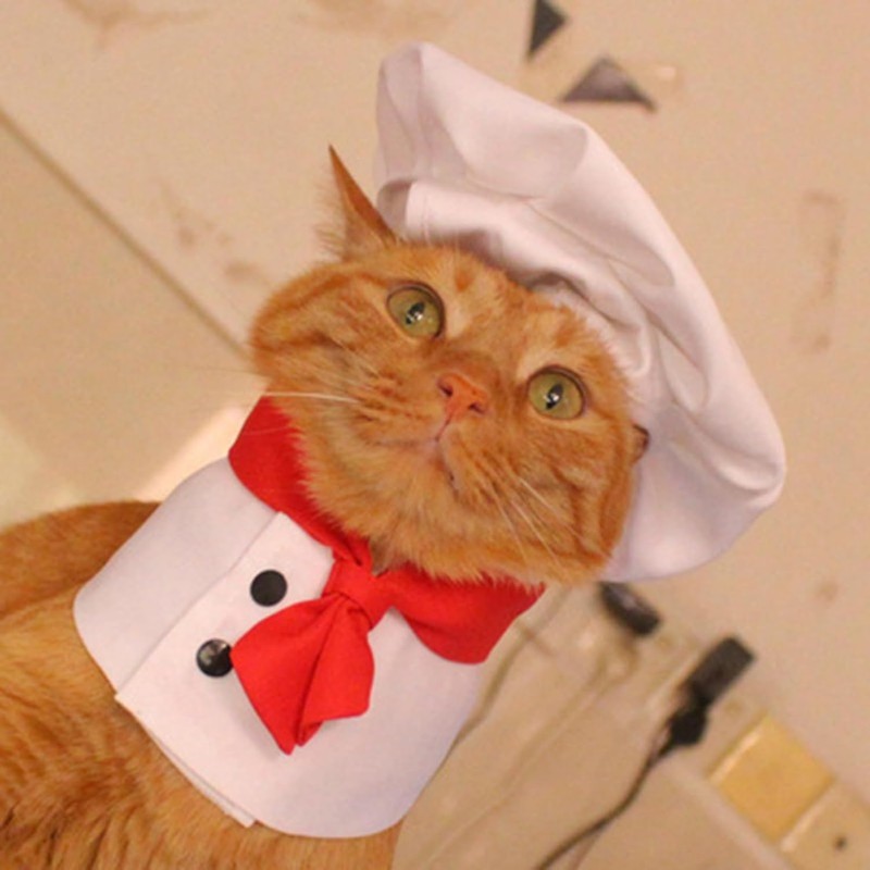 White Pet Hat Chef Appearance Pet Clothing Soft S Dog