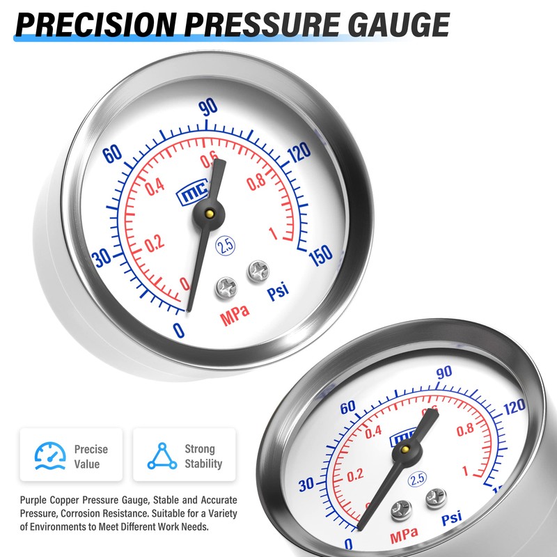 TAILONZ PNEUMATIC 1/2 Inch NPT White Air Filter Pressure Regulator