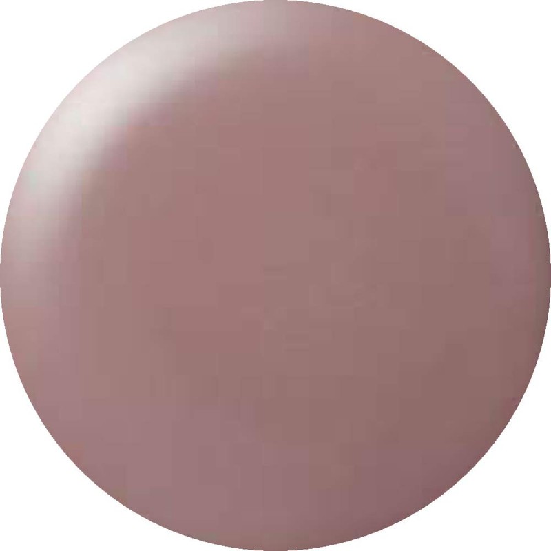Cocoist E-215 Color Gel Smoky Poi, 0.1 oz (2.5 g),