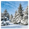 20 Napkins Fir and Snow 33 x 33 cm