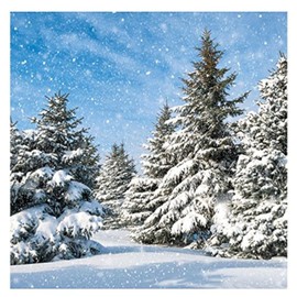 20 Napkins Fir and Snow 33 x 33 cm