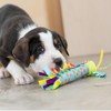 Petstages Cool Teething Stick for Dogs - Soothing Chew Toy